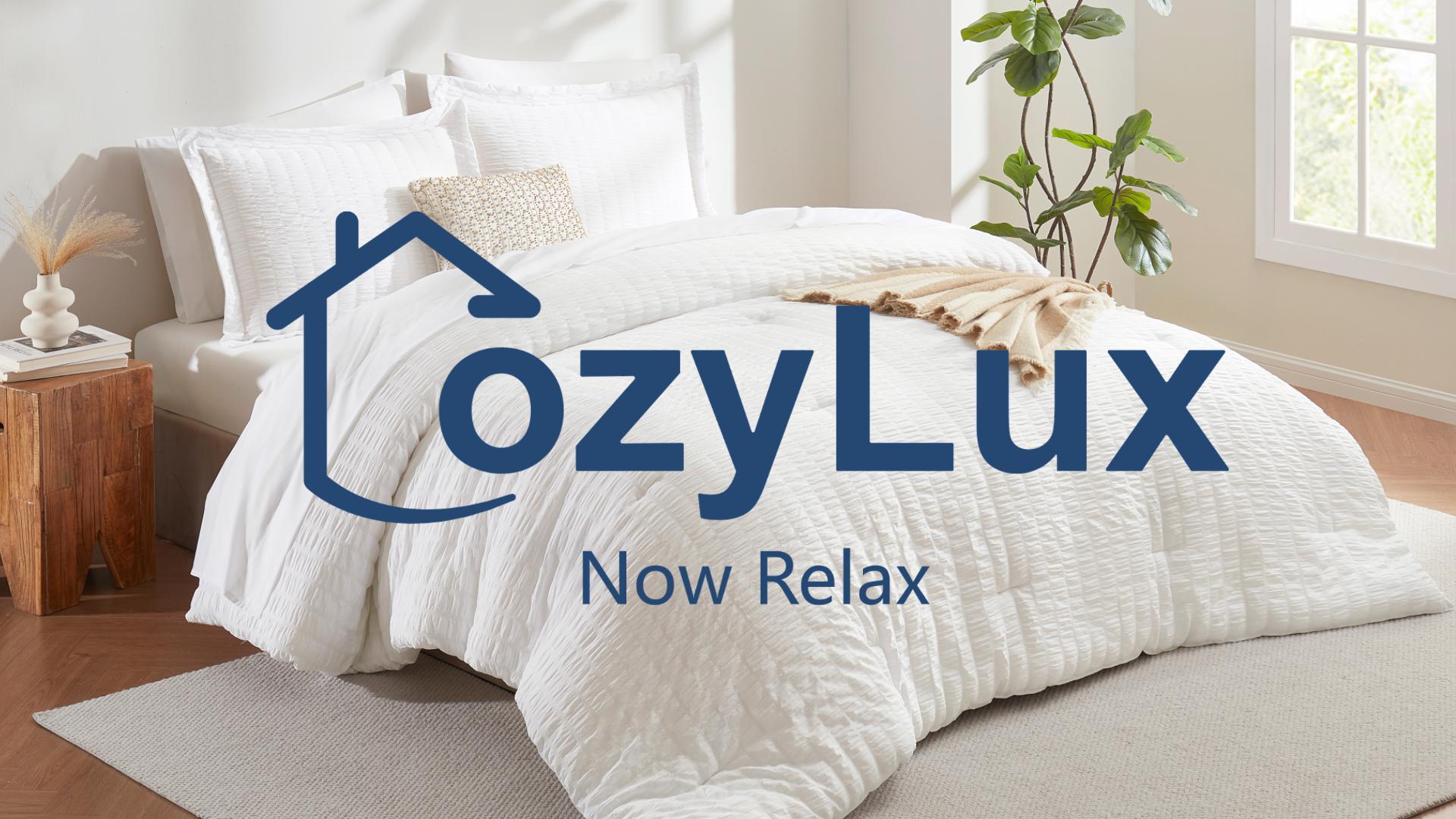 Amazon.com: CozyLux Twin Comforter Set with Sheets 5 Pieces, White